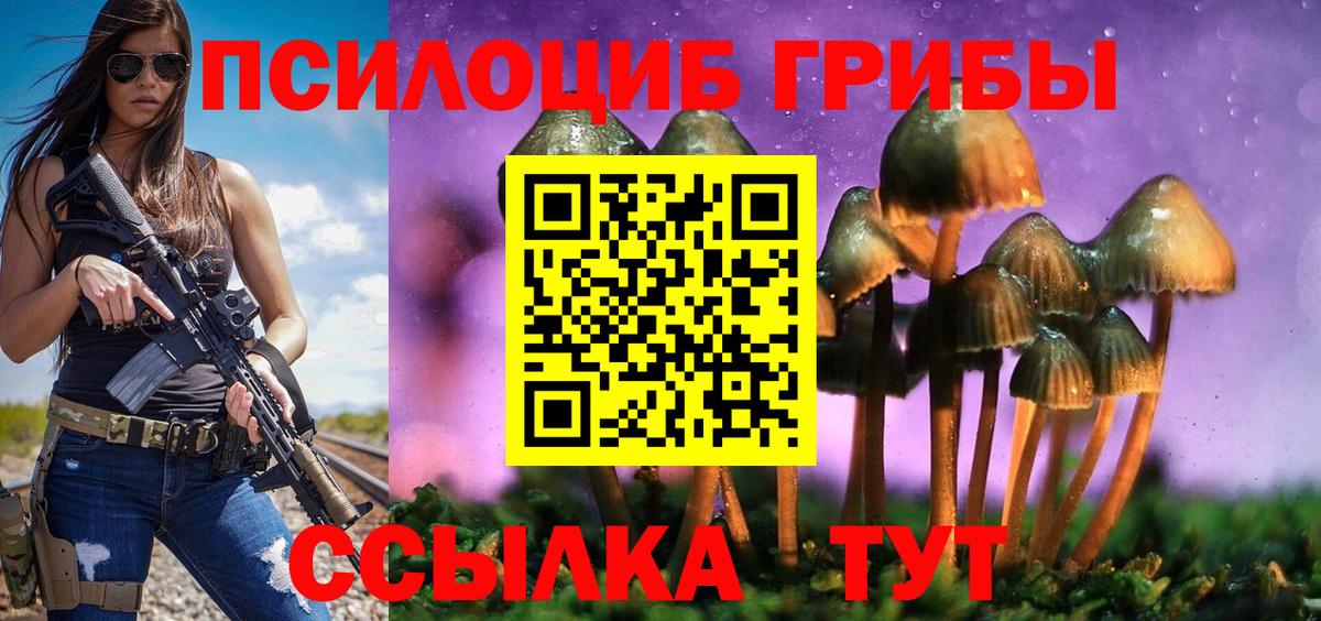 Галлюциногенные грибы Psilocybe Миллерово